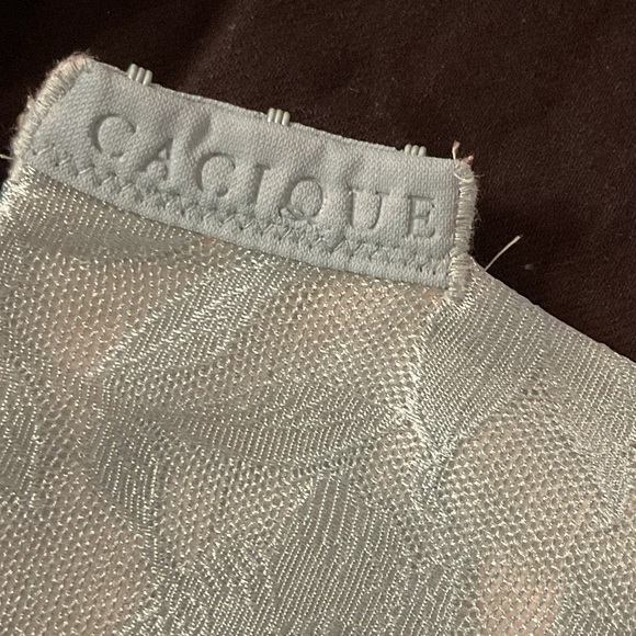 Cacique Totally Smooth Lightly Lined Full Coverage Bra teal blue lace 38DD - Picture 6 of 9